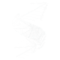 SilkSwap logo